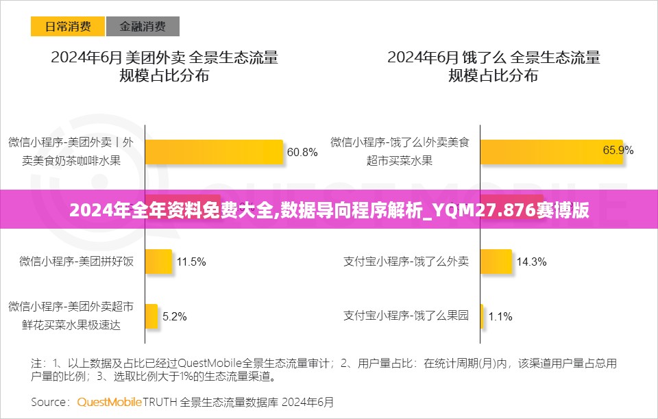 2024年全年资料免费大全,数据导向程序解析_YQM27.876赛博版