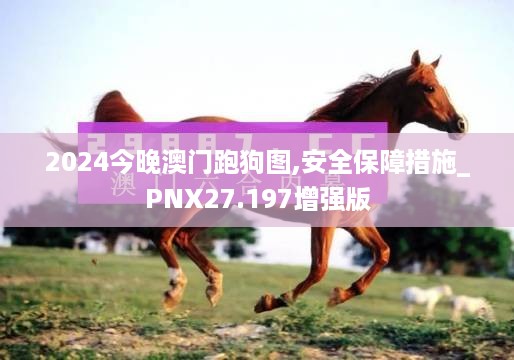 2024今晚澳门跑狗图,安全保障措施_PNX27.197增强版