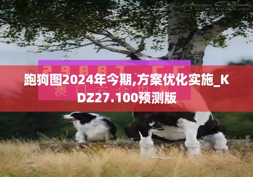 跑狗图2024年今期,方案优化实施_KDZ27.100预测版