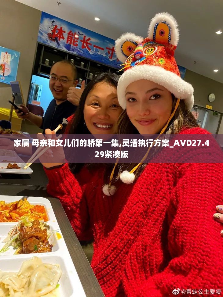 家属 母亲和女儿们的轿第一集,灵活执行方案_AVD27.429紧凑版