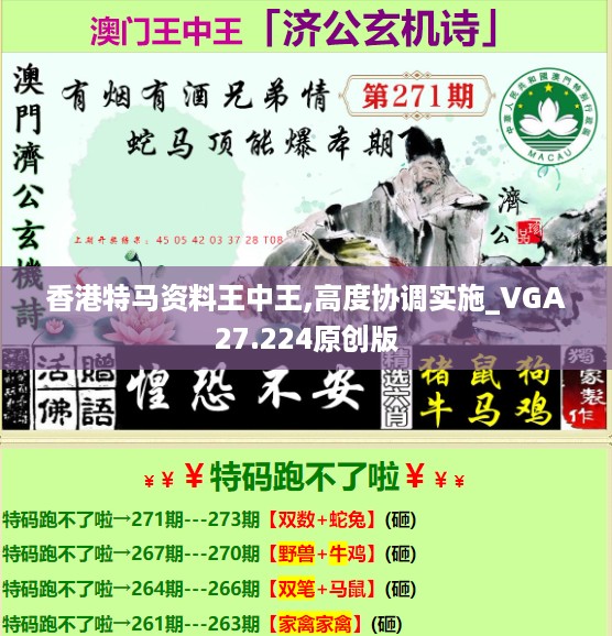 香港特马资料王中王,高度协调实施_VGA27.224原创版