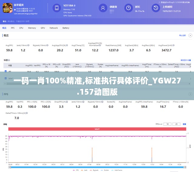 一码一肖100%精准,标准执行具体评价_YGW27.157动图版