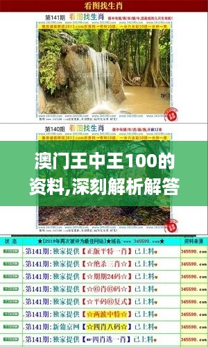 澳门王中王100的资料,深刻解析解答解释策略_YRA1.69.65界面版