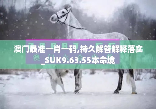 澳门最准一肖一码,持久解答解释落实_SUK9.63.55本命境