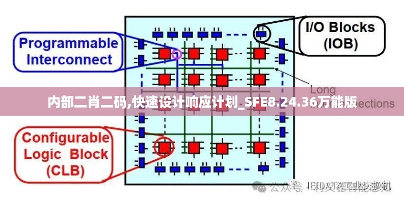 内部二肖二码,快速设计响应计划_SFE8.24.36万能版