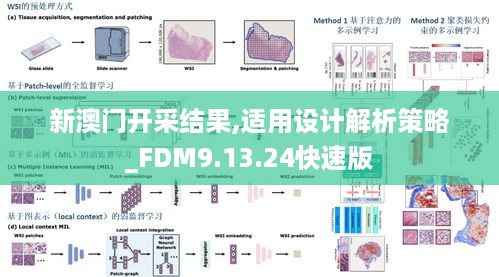 新澳门开采结果,适用设计解析策略_FDM9.13.24快速版