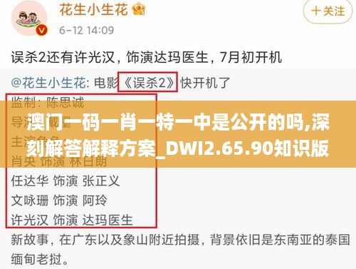 澳门一码一肖一特一中是公开的吗,深刻解答解释方案_DWI2.65.90知识版