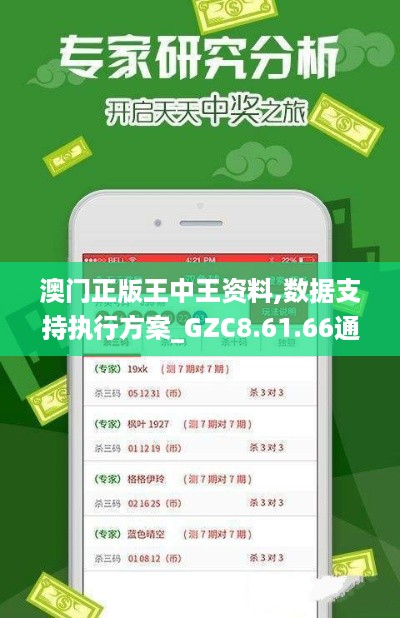 澳门正版王中王资料,数据支持执行方案_GZC8.61.66通行证版