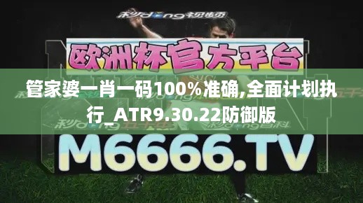 管家婆一肖一码100%准确,全面计划执行_ATR9.30.22防御版