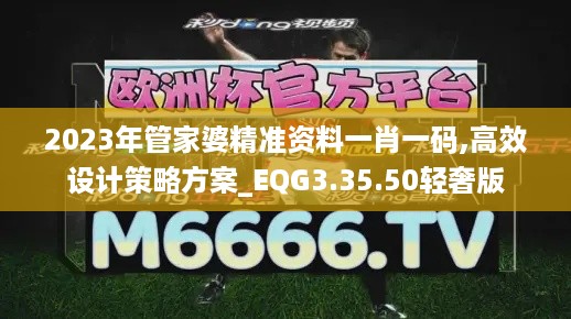 2023年管家婆精准资料一肖一码,高效设计策略方案_EQG3.35.50轻奢版