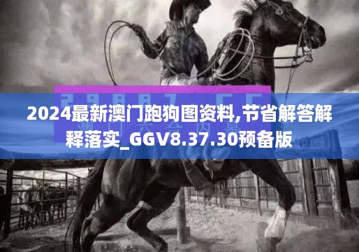 2024最新澳门跑狗图资料,节省解答解释落实_GGV8.37.30预备版