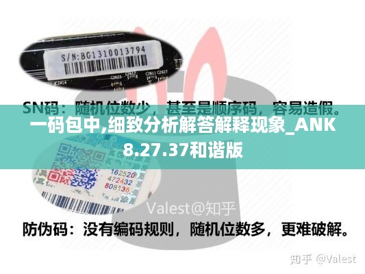 一码包中,细致分析解答解释现象_ANK8.27.37和谐版