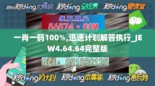 一肖一码100%,迅速计划解答执行_JEW4.64.64完整版