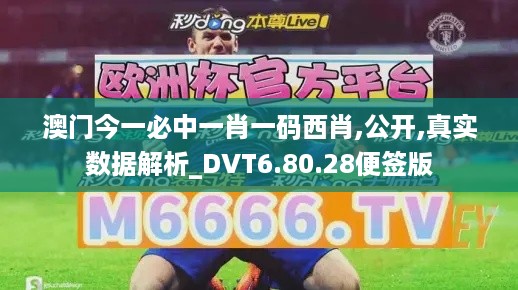 澳门今一必中一肖一码西肖,公开,真实数据解析_DVT6.80.28便签版