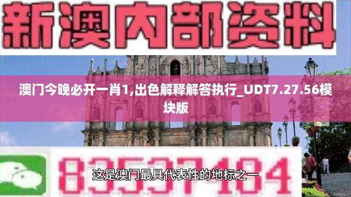 澳门今晚必开一肖1,出色解释解答执行_UDT7.27.56模块版