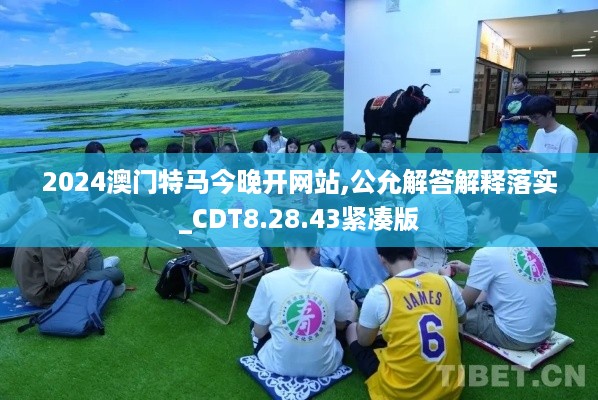 2024澳门特马今晚开网站,公允解答解释落实_CDT8.28.43紧凑版