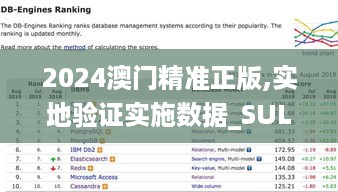 2024澳门精准正版,实地验证实施数据_SUL4.35.44闪电版
