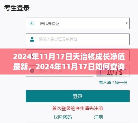 天治核成长净值最新动态与查询指南，初学者与进阶用户手册（2024年11月17日）