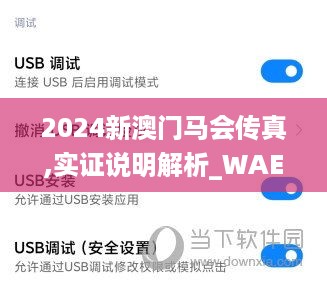 2024新澳门马会传真,实证说明解析_WAE7.76.60稀有版