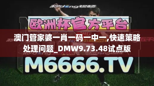 澳门管家婆一肖一码一中一,快速策略处理问题_DMW9.73.48试点版