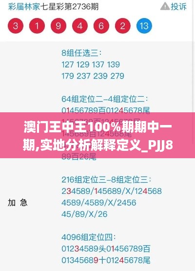 澳门王中王100%期期中一期,实地分析解释定义_PJJ8.58.44颠覆版