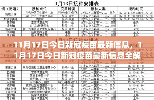 新冠疫苗接种指南，最新信息解析与接种步骤详解