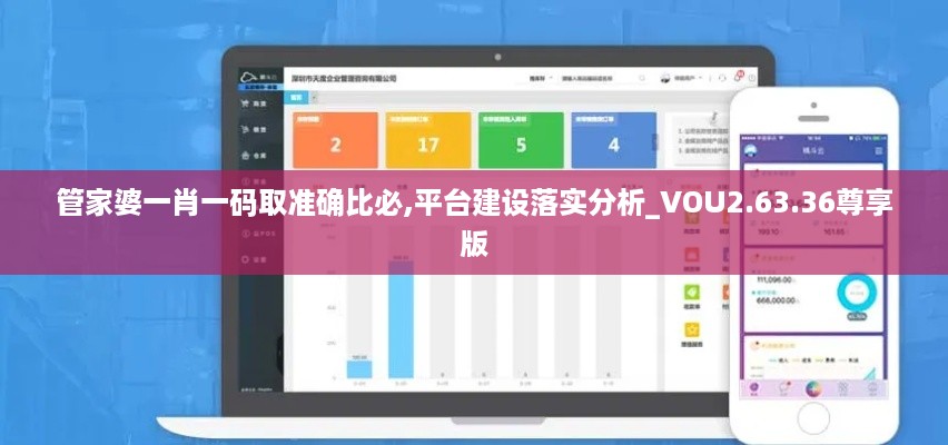 管家婆一肖一码取准确比必,平台建设落实分析_VOU2.63.36尊享版