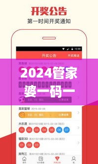 2024管家婆一码一肖资料,科学解答定义解释_OVP9.24.36旅行者版