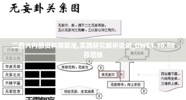 二四六内部资料期期准,实践研究解析说明_OWC1.30.88百搭版