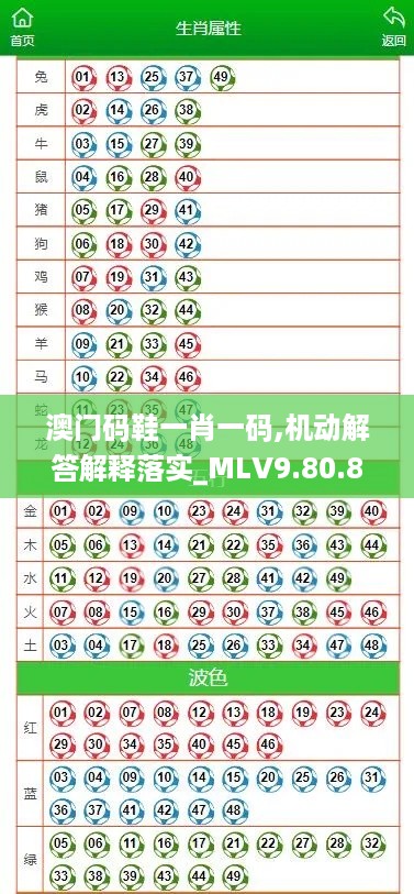 澳门码鞋一肖一码,机动解答解释落实_MLV9.80.82特色版