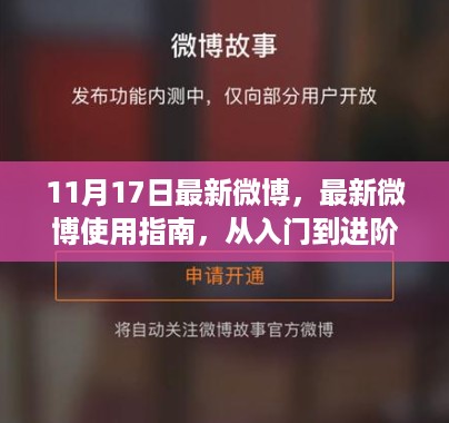 微博操作全攻略，从入门到进阶，掌握最新微博使用指南（11月更新版）