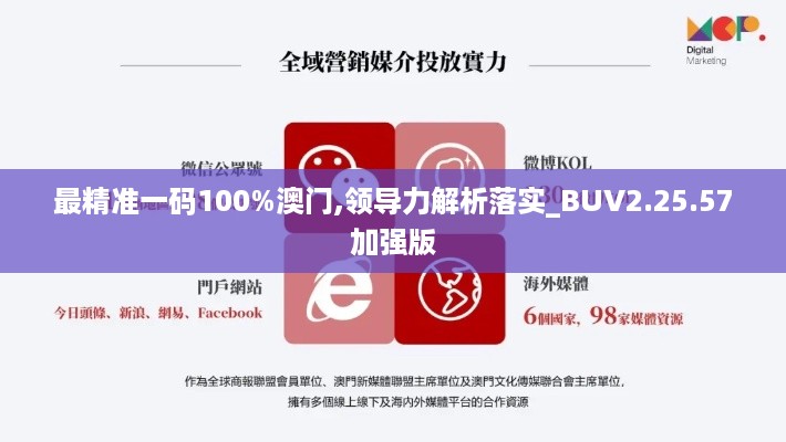 最精准一码100%澳门,领导力解析落实_BUV2.25.57加强版