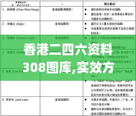 香港二四六资料308图库,实效方案设计_GWR3.10.97远光版