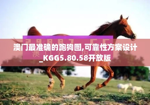 澳门最准确的跑狗图,可靠性方案设计_KGG5.80.58开放版