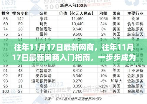 往年11月17日最新网商入门指南，成为网络商业精英的必经之路！