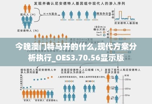 今晚澳门特马开的什么,现代方案分析执行_OES3.70.56显示版