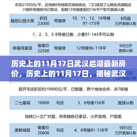 揭秘武汉后湖地区房价变迁，历史上的房价变迁与最新房价动态（11月17日）