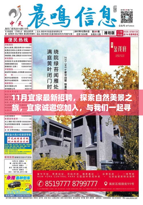 宜家11月最新招聘，探索自然美景之旅，携手宜家寻找内心的宁静与快乐