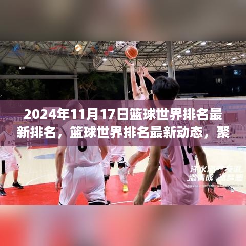 篮球世界最新排名揭晓，荣耀时刻聚焦2024年11月17日