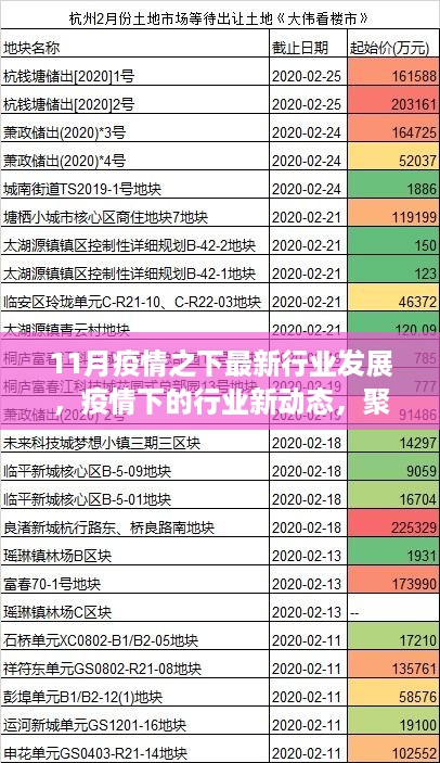 11月疫情下的行业新动态，聚焦最新发展态势