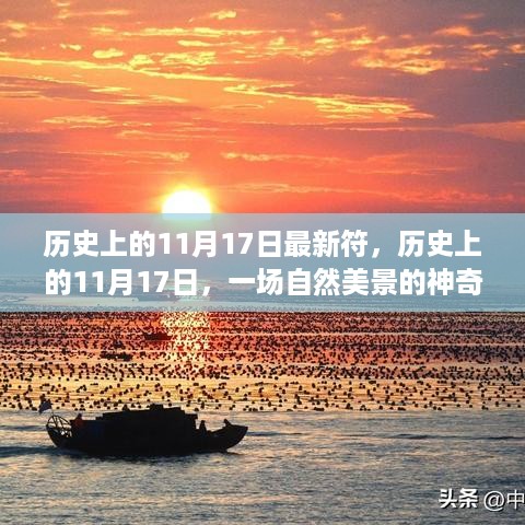 历史上的11月17日，自然美景之旅与内心的平静喜悦探寻记