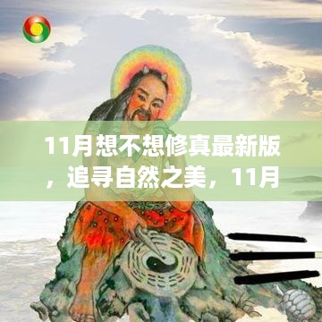 11月修真最新版，追寻自然之美的心灵宁静之旅