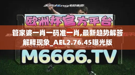 管家婆一肖一码准一肖,最新趋势解答解释现象_AEL2.76.45曝光版