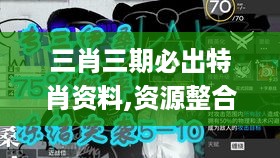 三肖三期必出特肖资料,资源整合解析落实_ABL9.28.56企业版