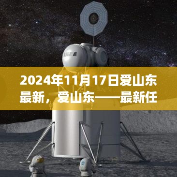 爱山东最新任务操作指南，初学者与进阶用户适用（2024年11月版）