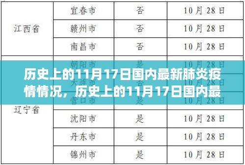 历史上的11月17日国内最新肺炎疫情动态，多维度分析与影响总结