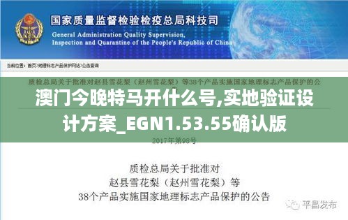 澳门今晚特马开什么号,实地验证设计方案_EGN1.53.55确认版