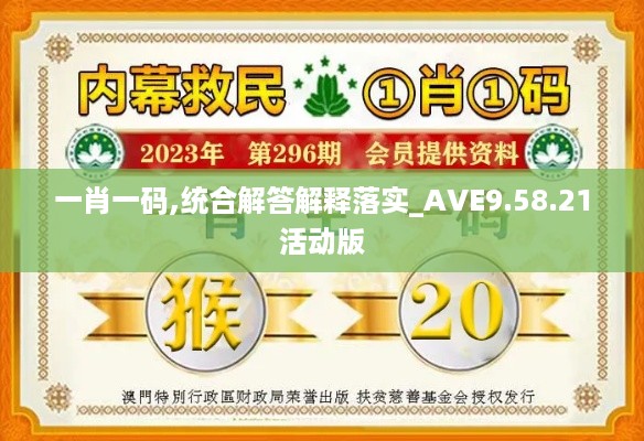 一肖一码,统合解答解释落实_AVE9.58.21活动版