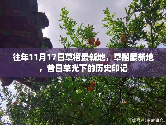 昔日荣光下的历史印记，草榴最新地纪念往年11月17日探访之旅