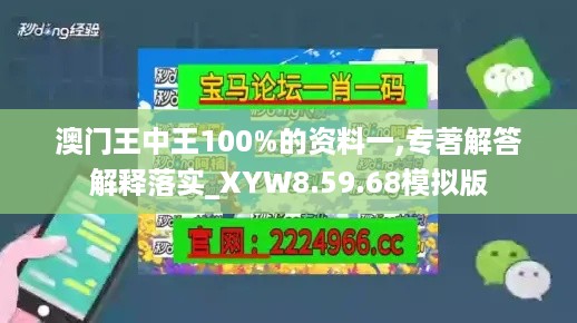 澳门王中王100%的资料一,专著解答解释落实_XYW8.59.68模拟版